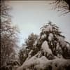 Snowy trees in Wohlerspark, Hamburg